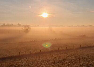 De natuur van de Millingerwaard en de Ooijpolder