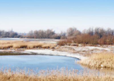 De natuur van de Millingerwaard en de Ooijpolder