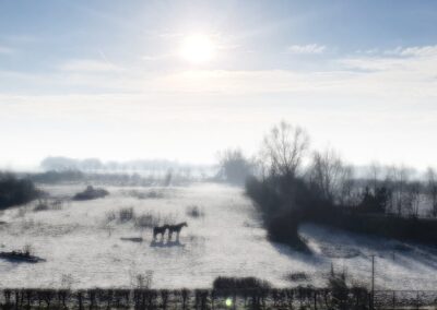 De natuur van de Millingerwaard en de Ooijpolder