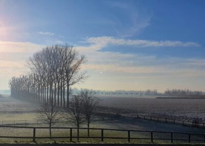 De natuur van de Millingerwaard en de Ooijpolder