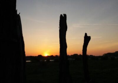 De natuur van de Millingerwaard en de Ooijpolder