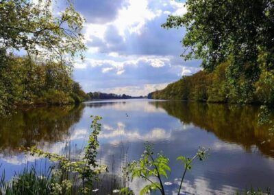 De natuur van de Millingerwaard en de Ooijpolder