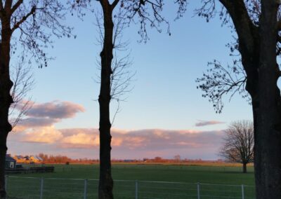 De natuur van de Millingerwaard en de Ooijpolder